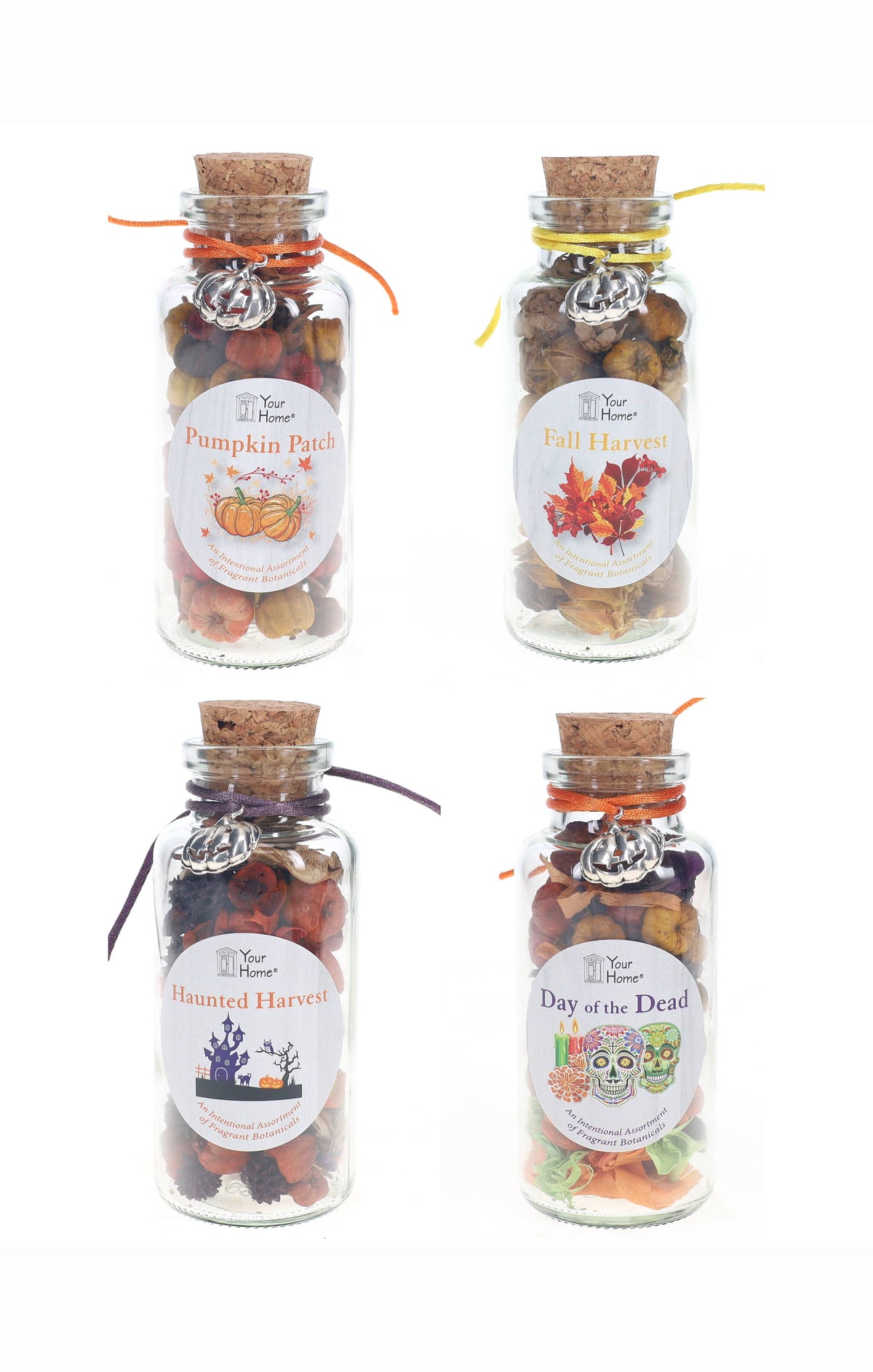 FALL jars, Potpourri Seasonal Fall Scents