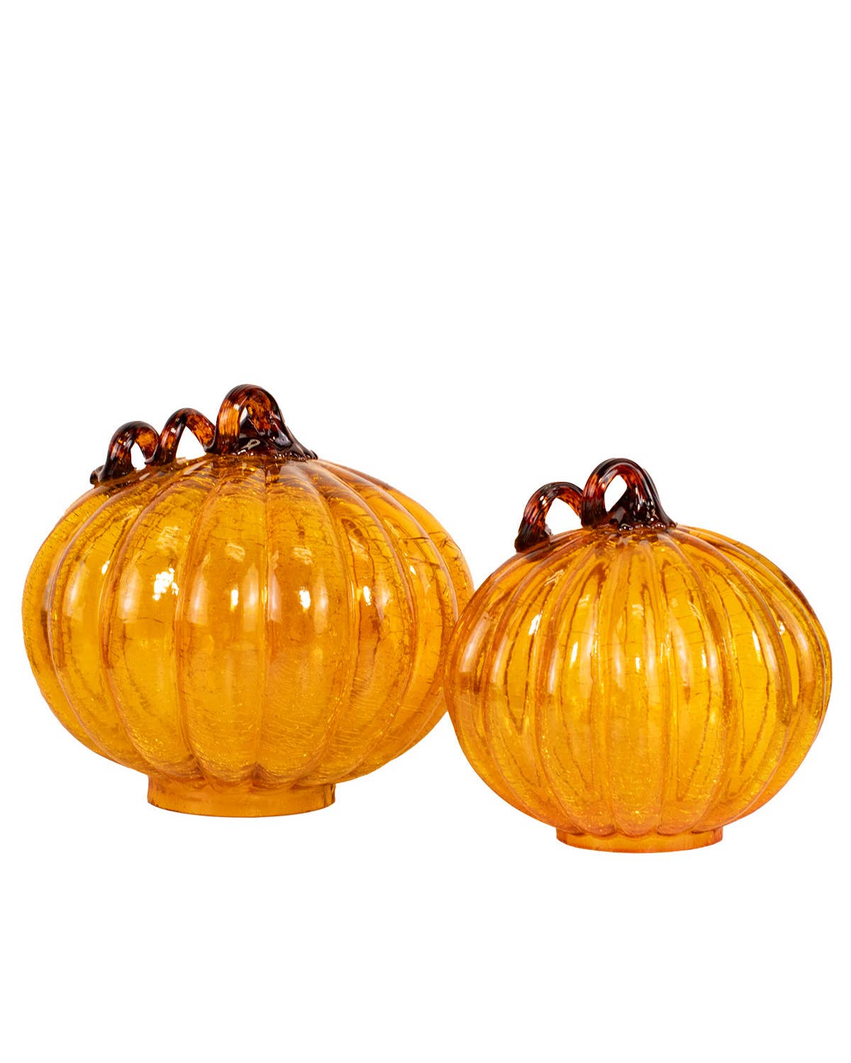 Dawson Pumpkin