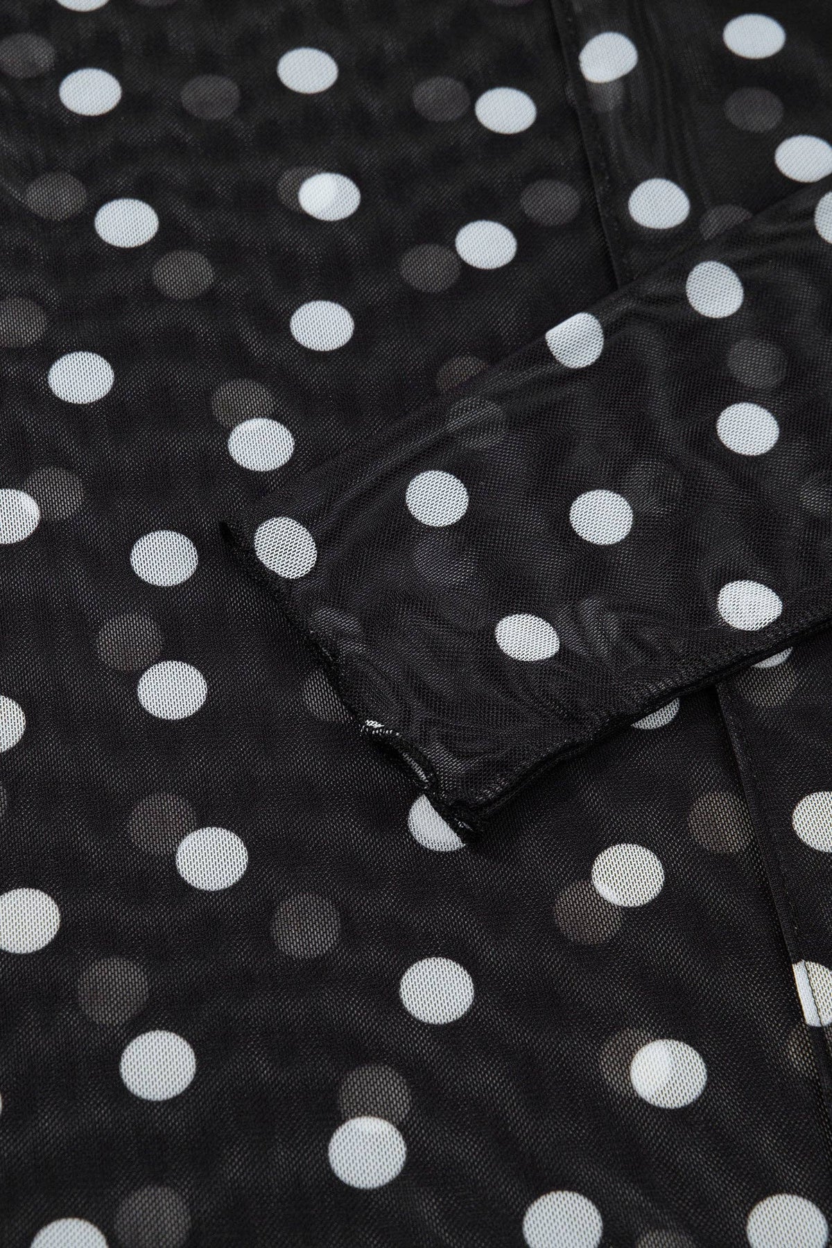 Polka Dot Mesh Mock Neck Long Sleeve Top