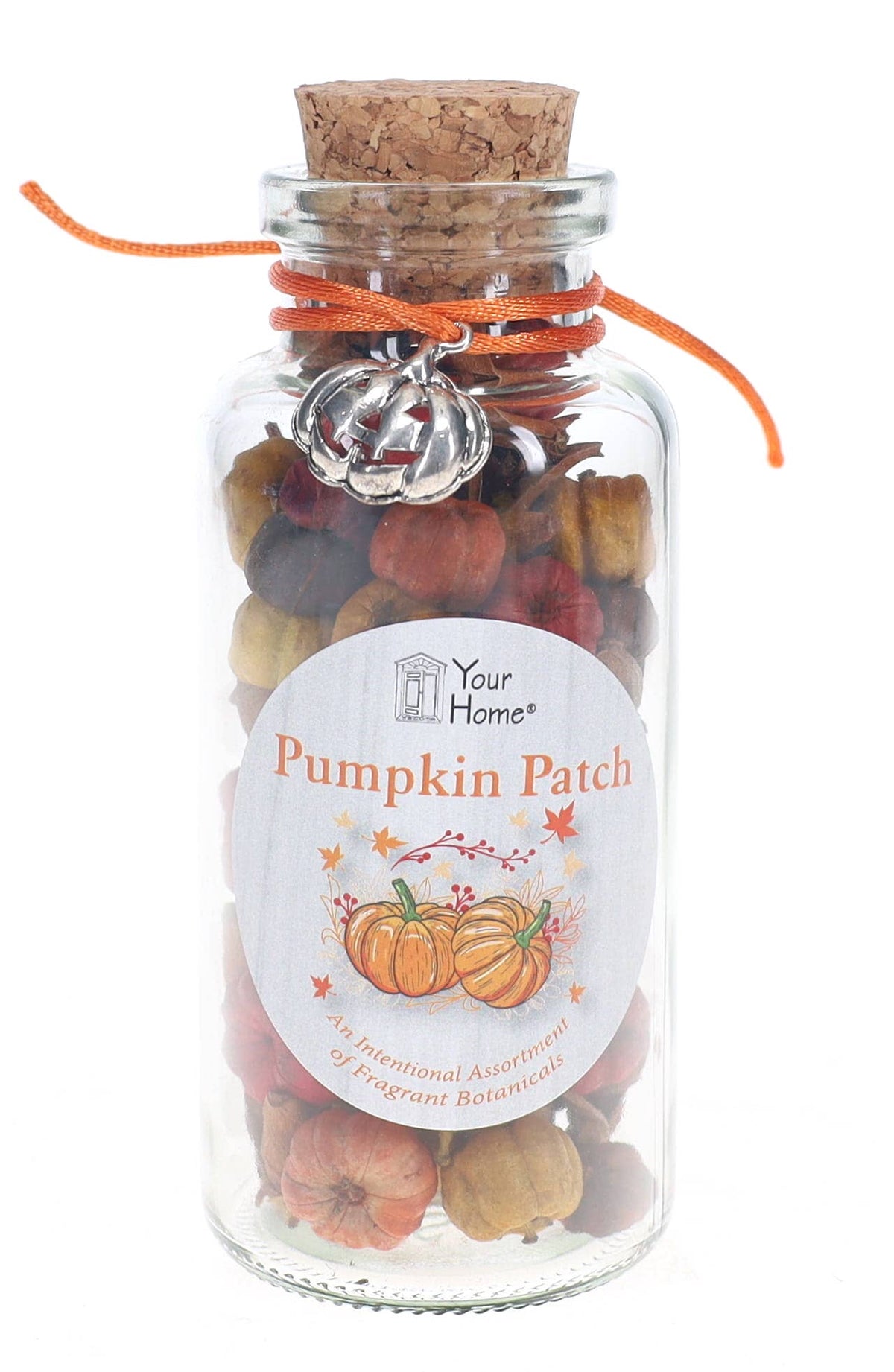 FALL jars, Potpourri Seasonal Fall Scents