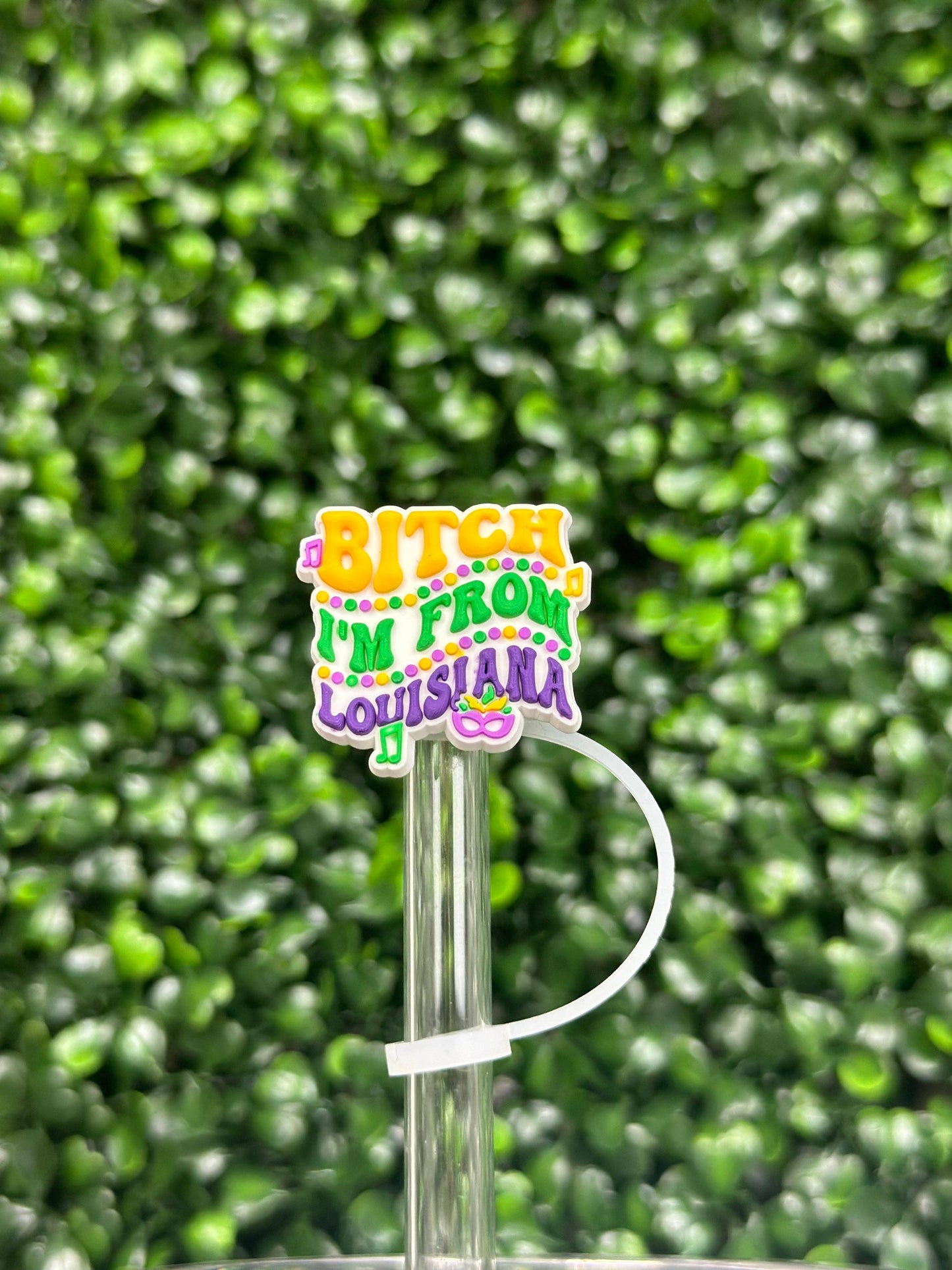 I’m From Louisiana Straw Topper